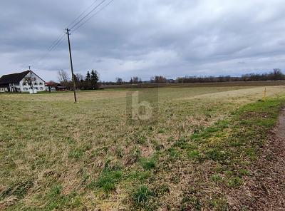 Foto - EHINGEN AN DER DONAU: IHR PLATZ ZUM BAUEN