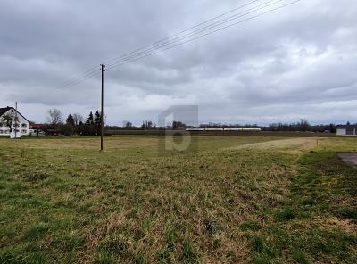 Foto - Grundstück zum Kaufen in Ehingen an der Donau