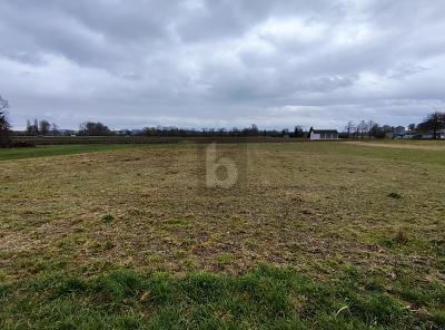Foto - Grundstück in Ehingen an der Donau