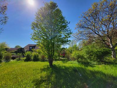 Foto - Grundstück zum Kaufen in Weßling