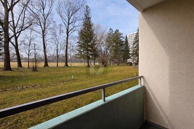 Foto - RUHIGE LAGE MIT BLICK INS GRÜNE