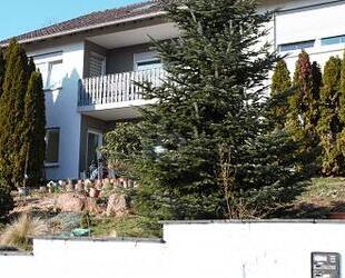 UNTER DEN DÄCHERN VON OBERNBURG - Obernburg am Main