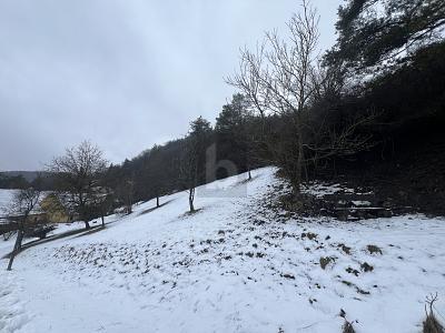 Foto - TRAUMHAFTER AUSBLICK IN NATURNAHER IDYLLE