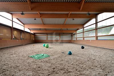 Foto - Einfamilienhaus mit 280,00 m² in Meckenbach zum Kaufen