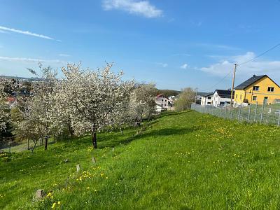 Foto - Grundstück zum Kaufen in Ilmenau