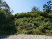 Foto - Grundstück zum Kaufen in Regenstauf