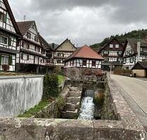 WOHNEN WIE IM URLAUB MIT HERRLICHEM BLICK - Gernsbach