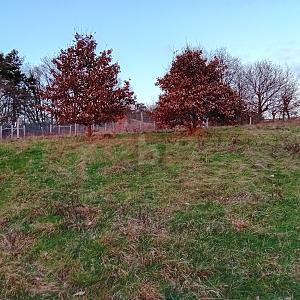 Foto - BAUEN MIT BLICK INS ALFTAL - 89.500,00&nbsp;EUR Kaufpreis, ca.&nbsp; 1.404,00&nbsp;m&sup2;