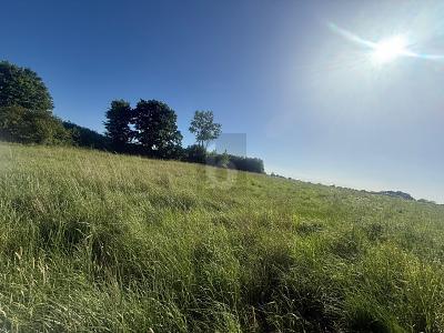 Foto - SONNIG, RUHIG & NATURNAH MIT AUSBLICK