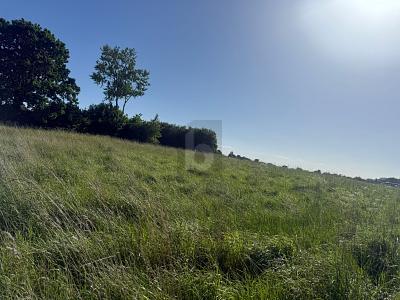 Foto - Grundstück zum Kaufen in Riepsdorf