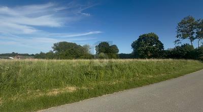 Foto - Grundstück in Riepsdorf zum Kaufen