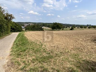 Foto - Grundstück zum Kaufen in Ubstadt-Weiher