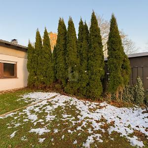 Foto - 4 Zimmer Doppelhaushälfte zum Kaufen in Möhnesee