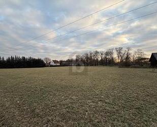 RIESIEGES GRUNDSTÜCK MIT RIESIGEM POTENTIAL - Gieshof-Zelliner Loose