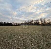 RIESIEGES GRUNDSTÜCK MIT RIESIGEM POTENTIAL - Gieshof-Zelliner Loose