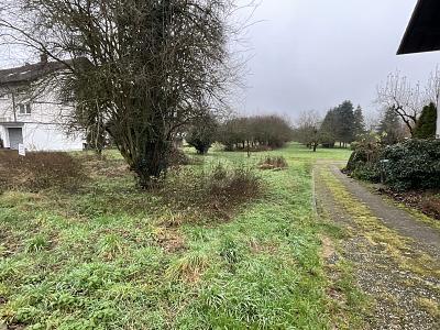 Foto - Grundstück in Sinzheim zum Kaufen