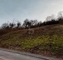 SONNENVERWÖHNTE 839 QM MIT AUSSICHT - Welschbillig