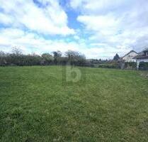 GROßES GRUNDSTÜCK IN BEGEHRTER LAGE - Güglingen