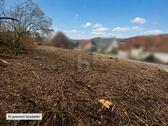 Foto - Grundstück zum Kaufen in Pilsach