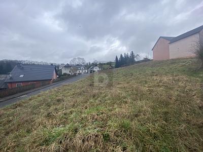 Foto - Grundstück zum Kaufen in Utscheid