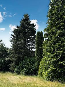 Foto - Grundstück zum Kaufen in Augsburg