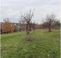 ERFÜLLEN SIE SICH DEN TRAUM VOM BAUEN - Schönbrunn