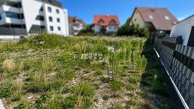 Foto - Grundstück zum Kaufen in Stühlingen