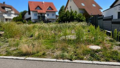 Foto - Grundstück in Stühlingen