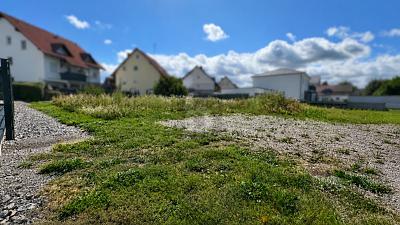 Foto - Grundstück in Stühlingen zum Kaufen