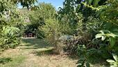 Foto - Grundstück zum Kaufen in Müllheim