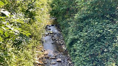 Foto - Grundstück in Müllheim