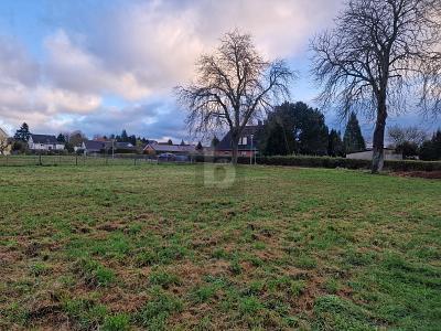 Foto - FÜR AUSSTEIGER UND EINSTEIGER! - 129.000,00&nbsp;EUR Kaufpreis, ca.&nbsp; 629,00&nbsp;m&sup2;