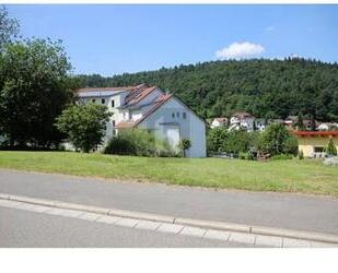 IDYLLISCHE LAGE MIT NECKARBLICK - Eberbach