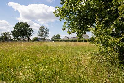 Foto - XXL- GRUNDSTÜCK IN ZAUBERHAFTER WALDRANDLAGE