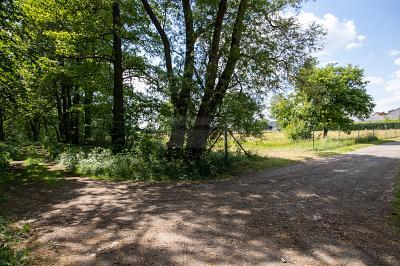 Foto - Grundstück in Annaburg