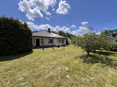 Foto - 3 Zimmer Einfamilienhaus zum Kaufen in Regis-Breitingen