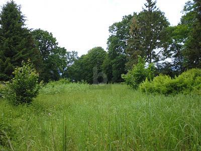 Foto - Grundstück in Kayhude zum Kaufen