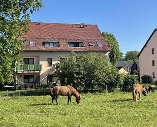 IDEAL FÜR EIGENTUMSWOHNUNGEN - 1.600.000,00 EUR Kaufpreis, ca.  942,00 m² Wohnfläche in Chemnitz (PLZ: 09247)