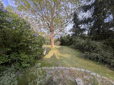 Foto - IDYLLISCHER RÜCKZUGSORT AM SEE - 99.000,00 EUR Kaufpreis, ca.  45,00 m² Wohnfläche