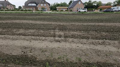 Foto - ERSCHLOSSEN, STRANDNAH & RUHIG GELEGEN