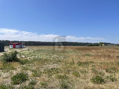 Foto - Gewerbeobjekt (Büro, Produktion, Verkauf) zum Kaufen in Jessen (Elster)