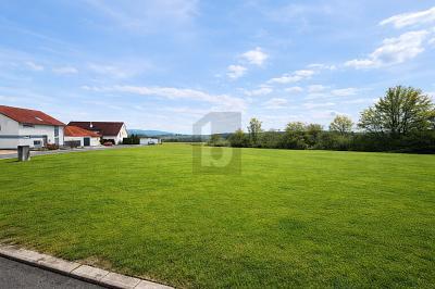 Foto - Grundstück in Seybothenreuth