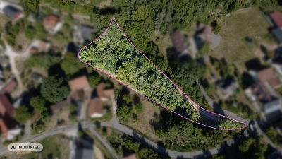 Foto - NATUR, RUHE, WERTANLAGE - 35.000,00&nbsp;EUR Kaufpreis, ca.&nbsp; 2.593,00&nbsp;m&sup2;