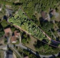 NATUR, RUHE, WERTANLAGE - 35.000,00&nbsp;EUR Kaufpreis, ca.&nbsp; 2.593,00&nbsp;m&sup2; in Etzelwang (PLZ: 92268)