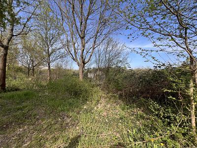 Foto - 4800 M² - MIT BESTER ANBINDUNG UND INFRASTRUKTUR