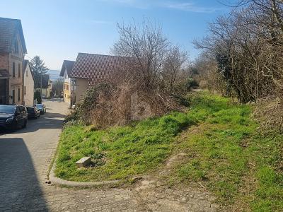 Foto - IHR TRAUM VOM HAUS, RUHIG AM FELDRAND