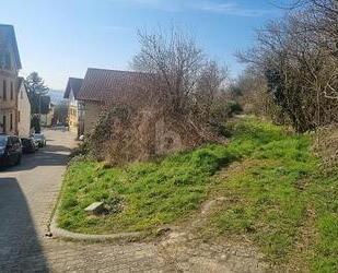 IHR TRAUM VOM HAUS, RUHIG AM FELDRAND - Ensheim