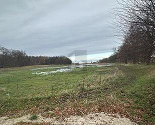EINZIGARTIG UND NATURBELASSEN MIT BAUGRUNDSTÜCK - Zierow