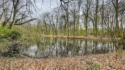 Foto - 7 Zimmer Grundstück in Hamburg Farmsen-Berne