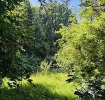 LAGEJUWEL MIT TEICHBLICK AM BERNER GUTSPARK - Hamburg Farmsen-Berne